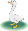 Upset Cartoon Goose Clip Art